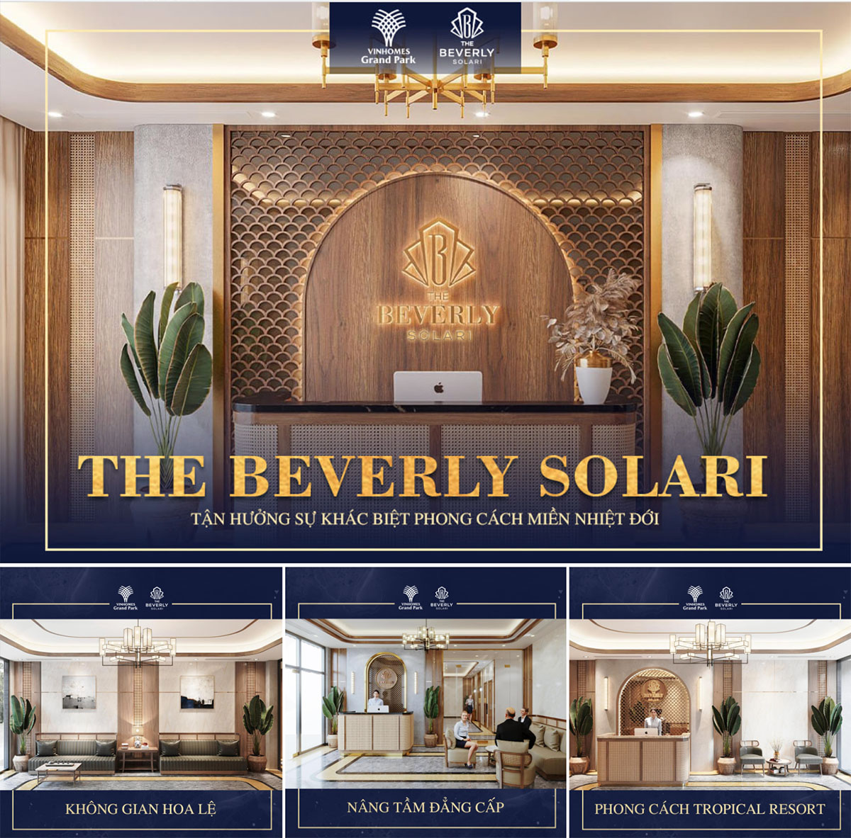 the beverly solari 7